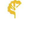 Brandnewmovers logo