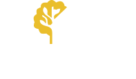 Brandnewmovers logo