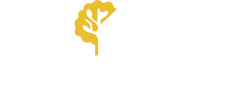 Brand New Homeowners logo